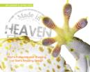 Image for Made in Heaven: Man&#39;s Indiscriminate Stealing of God&#39;s Amazing Design