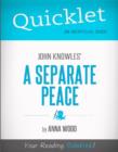 Image for Quicklet on John Knowles&#39; A Separate Peace (CliffNotes-like Book Summary and Analysis)