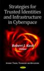 Image for Strategies for trusted identities and infrastructure in cyberspace