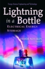 Image for Lightning in a Bottle : Electrical Energy Storage