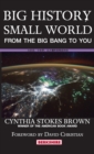 Image for Big History, Small World : From the Big Bang to You