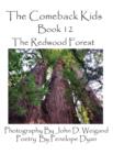 Image for The Comeback Kids, Book 12, the Redwood Forest