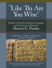 Image for &#39;Like &#39;Ilu Are You Wise&#39;: Studies in Northwest Semitic Languages and Literatures in Honor of Dennis G. Pardee