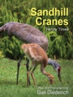Image for Sandhill Cranes, Family Times