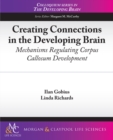 Image for Creating Connections in the Developing Brain: Mechanisms Regulating Corpus Callosum Development