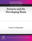 Image for Seizures and the Developing Brain