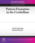 Image for Pattern Formation in the Cerebellum
