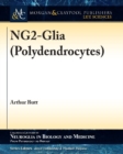 Image for NG2-Glia (Polydendrocytes)