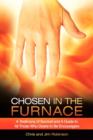 Image for Chosen in the Furnace