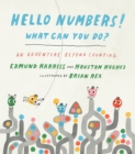 Image for Hello numbers! what can you do?  : an adventure beyond counting