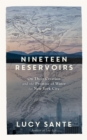 Image for Nineteen reservoirs  : on their creation and the promise of water for New York City