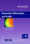 Image for Basic and Clinical Science Course (BCSC) 2010-2011 Section 9 : Intraocular Inflammation and Uveitis