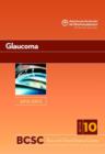 Image for Basic and Clinical Science Course (BCSC) : Section 10 : Glaucoma