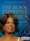Image for Black Experience in America