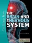 Image for Brain and the Nervous System