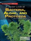 Image for A closer look at bacteria, algae, and protozoa