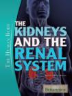 Image for The kidneys and the renal system