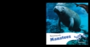 Image for Swimming with Manatees