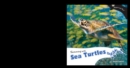 Image for Swimming with Sea Turtles