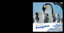 Image for Swimming with Penguins