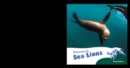 Image for Swimming with Sea Lions