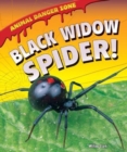 Image for Black Widow Spider!