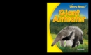 Image for Giant Anteater