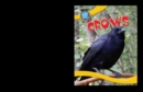 Image for Crows
