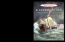 Image for Storm at Sea