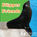Image for Flipper Friends