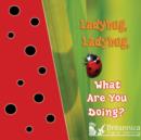 Image for Ladybug, Ladybug, What Are You Doing?
