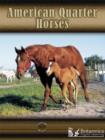 Image for American Quarter Horses