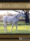 Image for Arabian horses