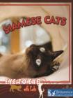 Image for Siamese cats
