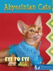 Image for Abyssinian cats