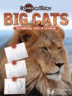 Image for Big cats, drawing and reading