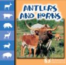Image for Antlers and Horns