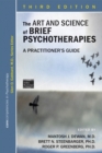 Image for Art and Science of Brief Psychotherapies: An Illustrated Guide