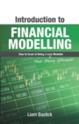 Image for Introduction To Financial Modelling : How to Excel at Being a Lazy (That Means Efficient!) Modeller