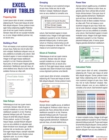 Image for Excel Pivot Tables Laminated Tip Card : Pivot Table Tricks from MrExcel