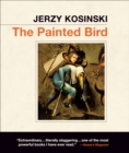 Image for The Painted Bird