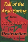 Image for Fall of the Arab Spring
