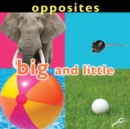 Image for Opposites: Big and Little