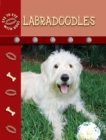Image for Labradoodles