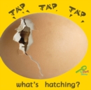 Image for Tap, tap, tap--what&#39;s hatching?