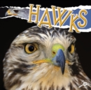 Image for Hawks