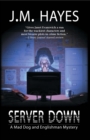 Image for Server Down: A Mad Dog &amp; Englishman Mystery