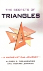 Image for The secrets of triangles  : a mathematical journey