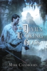 Image for The devil&#39;s looking glass