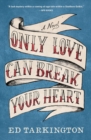 Image for Only Love Can Break Your Heart: A Novel